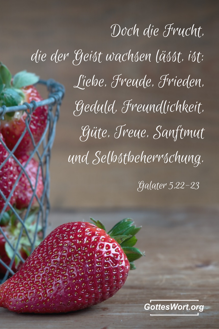 Frucht Des Geistes Gottes Wort